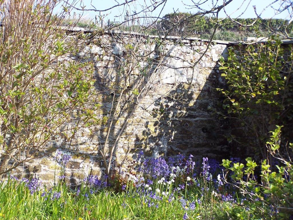 The Old Parsonage Bed & Breakfast Boscastle Eksteriør bilde
