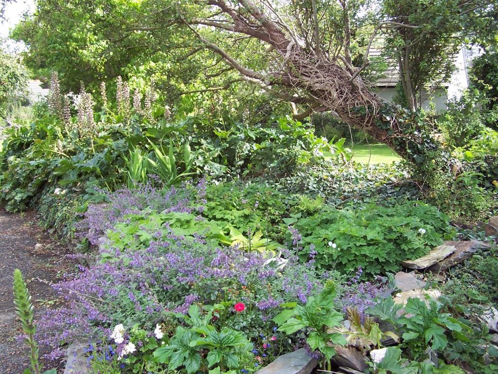 The Old Parsonage Bed & Breakfast Boscastle Eksteriør bilde
