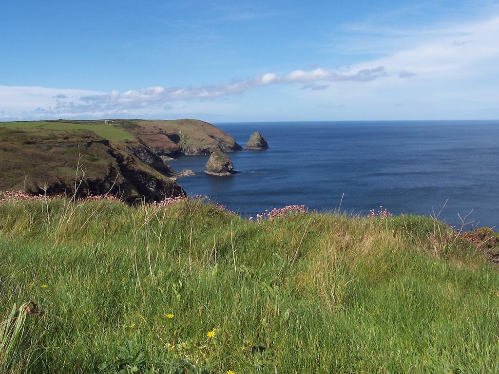 The Old Parsonage Bed & Breakfast Boscastle Eksteriør bilde