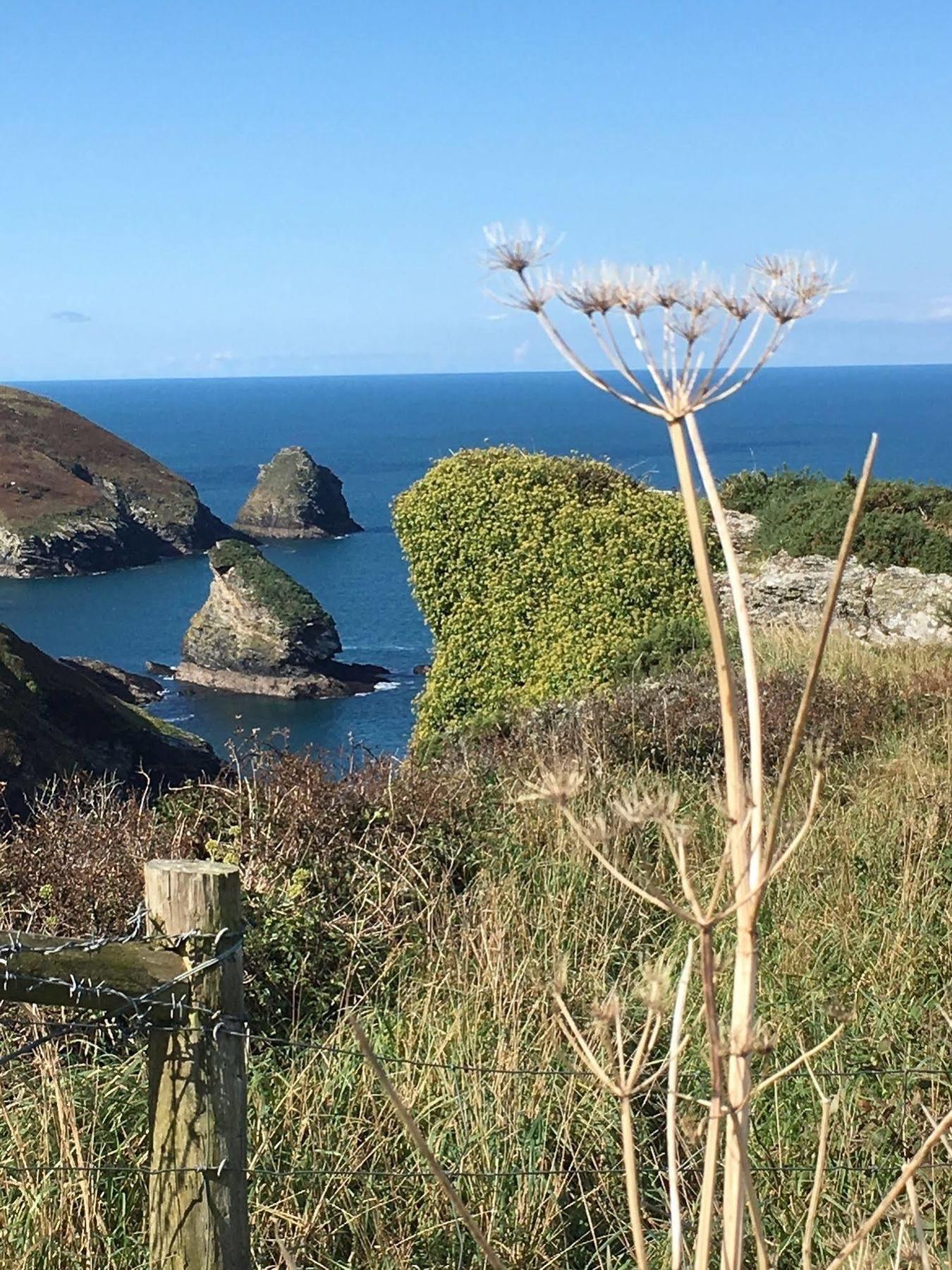 The Old Parsonage Bed & Breakfast Boscastle Eksteriør bilde